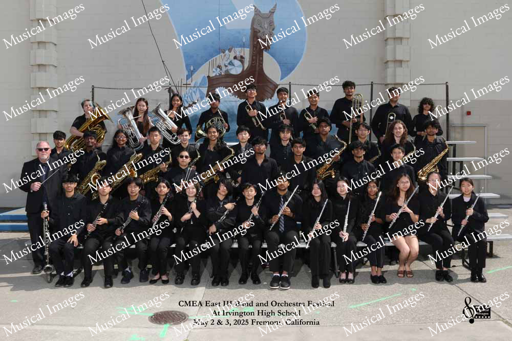 Musical Images
